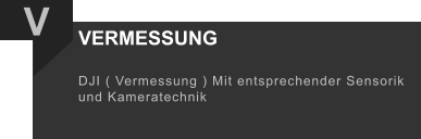 V VERMESSUNG DJI ( Vermessung ) Mit entsprechender Sensorik und Kameratechnik